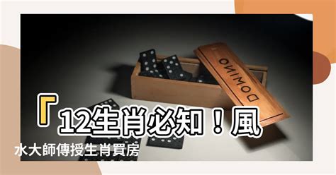 買房運勢|2023年12生肖買房運勢 易經命理師曝最強運2生肖